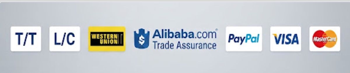 Global payment method logos